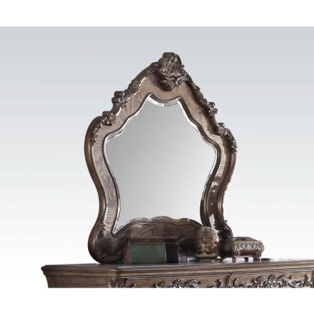 ACME Ragenardus Mirror Vintage Oak Finish