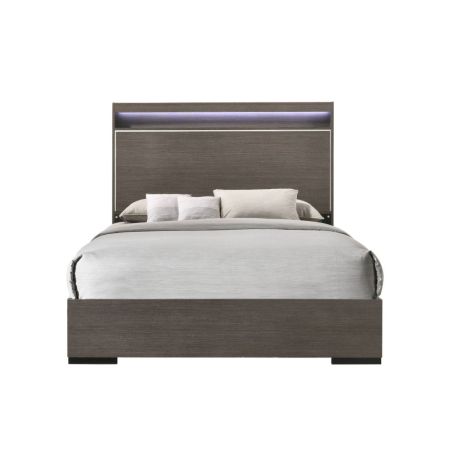 ACME Escher Queen Bed Led & Gray Oak Finish