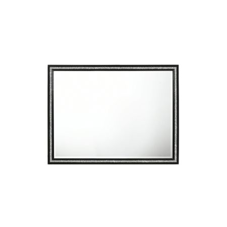 ACME Haiden Mirror Weathered Black Finish