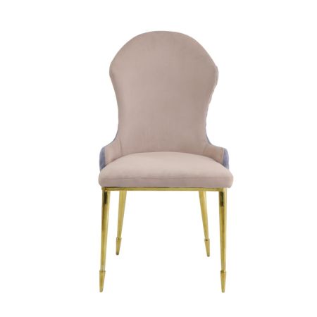 ACME Caolan Side Chair (Set-2) Tan Lavender Fabric & Gold Finish