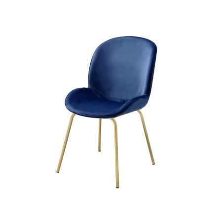 ACME Chuchip Side Chair (Set-2) Blue Velvet & Gold Finish