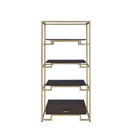 ACME Yumia Bookshelf Clear Glass & Gold Finish