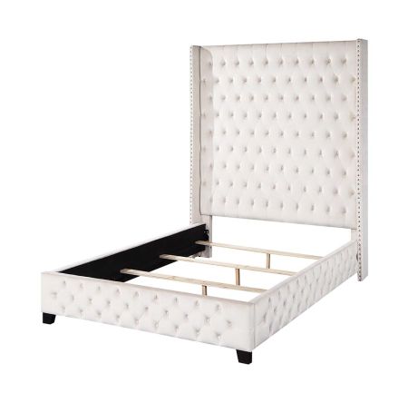 ACME Fabrice Queen Bed Beige Velvet