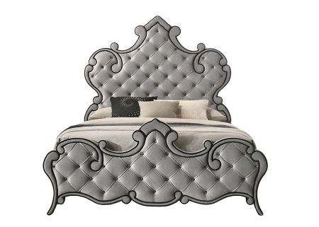 ACME Perine Queen Bed Gray Velvet