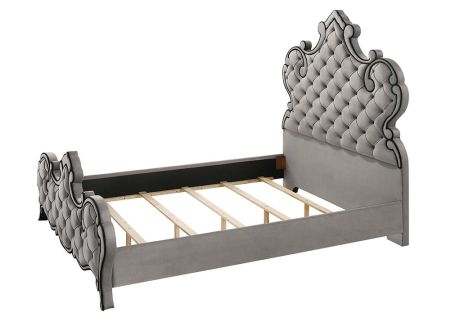 ACME Perine Queen Bed Gray Velvet