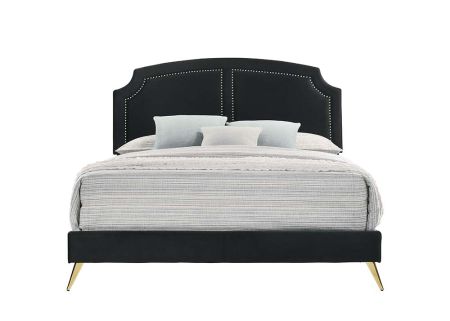 ACME Zeena Queen Bed Black Velvet