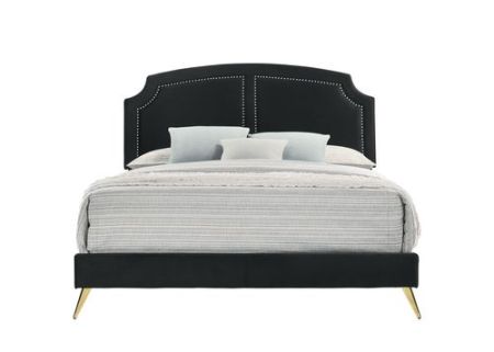 ACME Zeena EK Bed Black Velvet