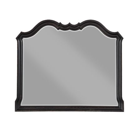 ACME Chelmsford Mirror Antique Black Finish