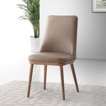 ACME Rashean Side Chair (Set-2) Brown Leather & Walnut Finish