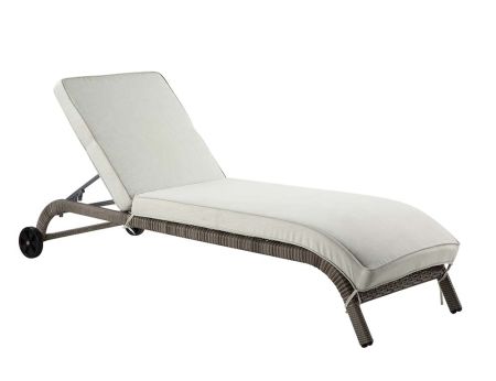 ACME Salena Patio Sun Lounge Beige Fabric & Gray Finish