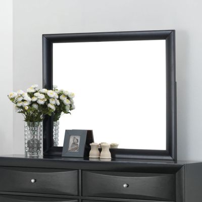 Ireland Mirror 04164 Black By Acme Furniture