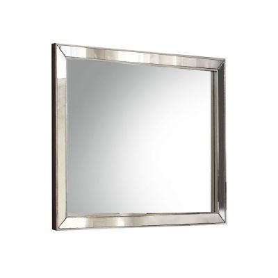 Voeville II Mirror 24844 Platinum By Acme Furniture