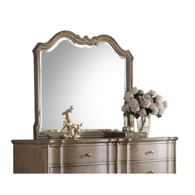 ACME Chelmsford Mirror Antique Taupe Finish