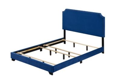 ACME Haemon Queen Bed Blue Velvet