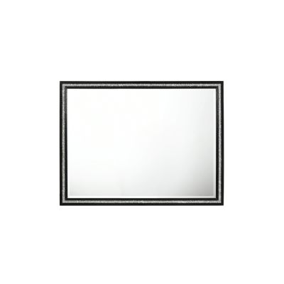 Haiden Mirror 28434 Black By Acme Furniture