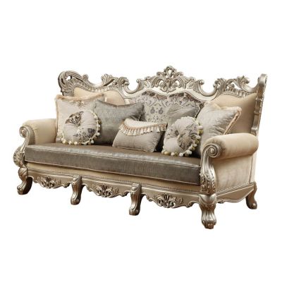 Ranita Sofa 51040 Champagne By Acme Furniture