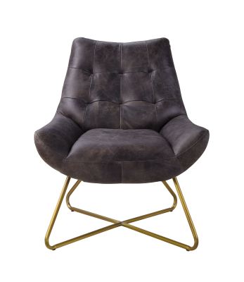 Dhalsim Accent Chair 59666 Ebony By Acme Furniture