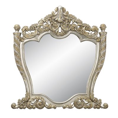 Danae Mirror BD01236 Champagne By Acme Furniture